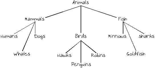 line drawn animal classification tree